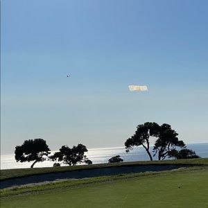 Meet your Posher, Dan